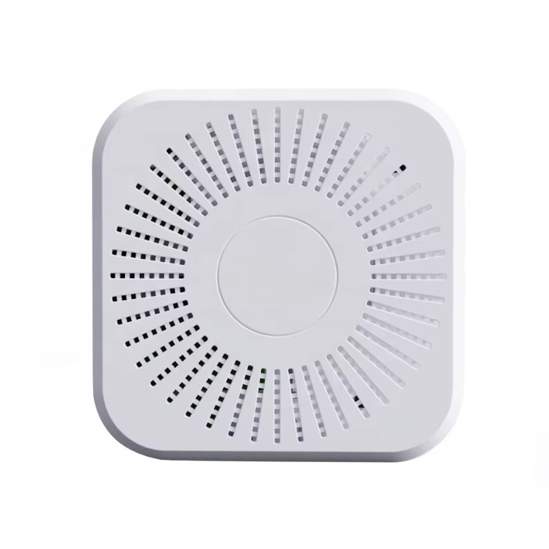 LoRaWAN WiFi 4G 空気監視センサー CO2 P - Vaping Air のレビューと価格